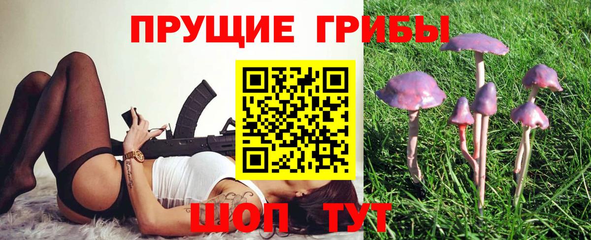 Абинск  Псилоцибиновые грибы Psilocybe  Вход с VPN  даркнет сайт  Галлюциногенные грибы мицелий 